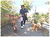 ワグ きょうのわんこ 写真2