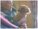 ここの きょうのわんこ 写真3