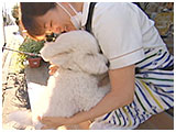 レオナルド きょうのわんこ 写真5