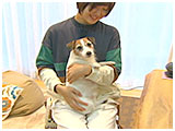 うらら きょうのわんこ 写真2