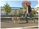 メイ きょうのわんこ 写真4