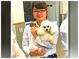 ルパン きょうのわんこ 写真3