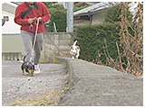 リン きょうのわんこ 写真5