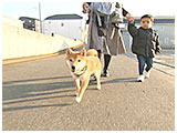 空（そら） きょうのわんこ 写真2