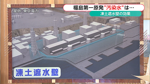 ウィークエンド特集