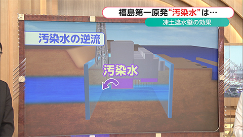 ウィークエンド特集