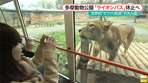 ウィークエンド特集