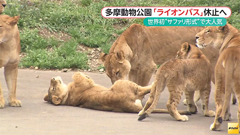ウィークエンド特集
