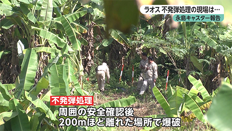 ウィークエンド特集