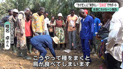 ウィークエンド特集
