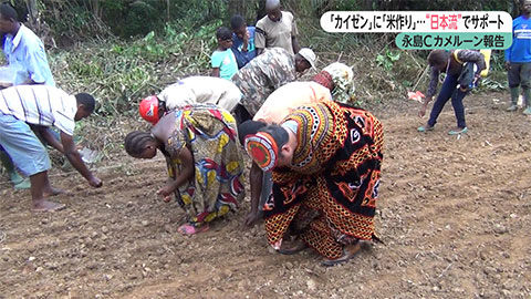 ウィークエンド特集