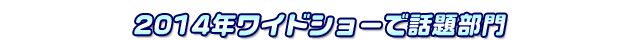 2014年ワイドショーで話題部門