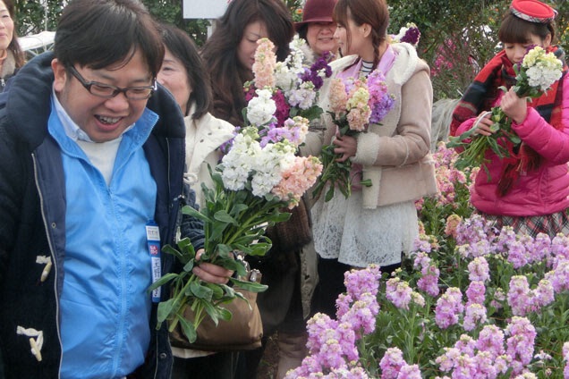 お花つみ放題