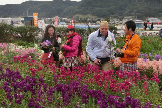 お花畑と…