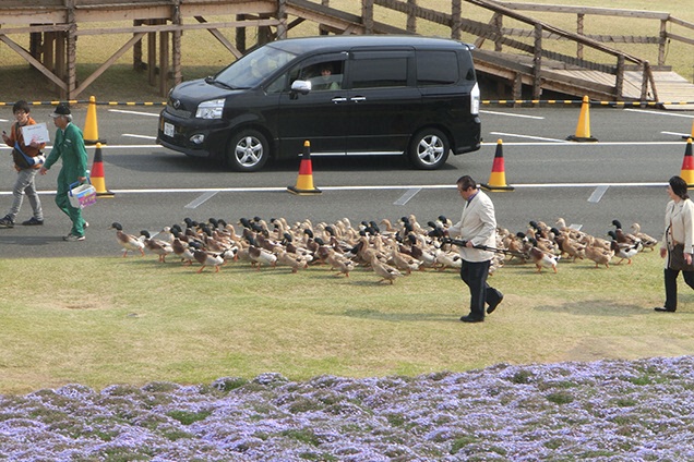 あれ？これは一体なんの団体さん？