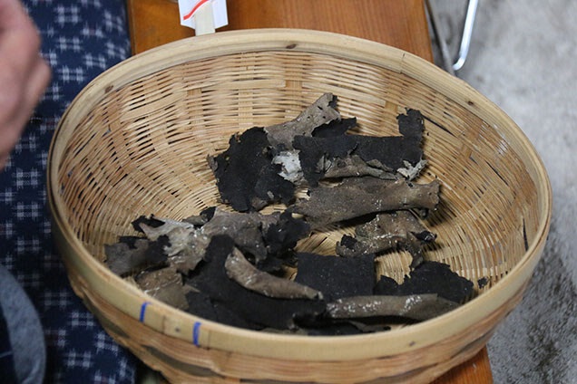 そこで食べたのが、幻のキノコ”岩茸”！