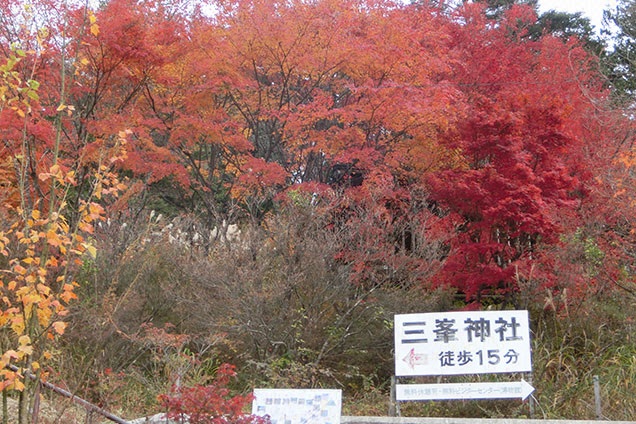 つづいては穴場で紅葉狩り！
