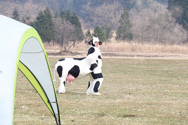 遠くに見えるあの牛さんは…