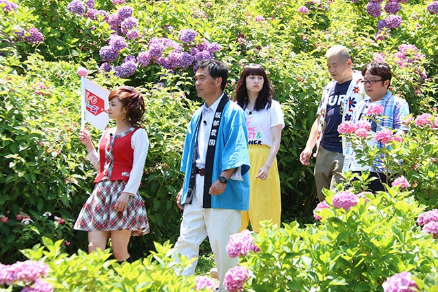 服部さん家の農園に咲く珍しい色のあじさいを見に行きました