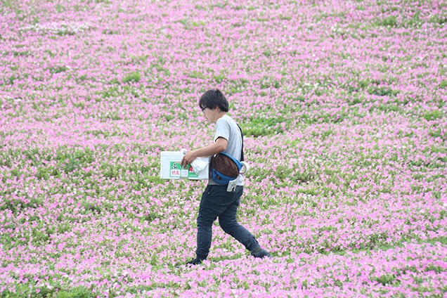 せっせかと物を運ぶAD五味ちゃんを
