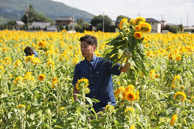 金田さん切り花に挑戦