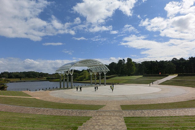 5ヶ月ぶりの国営ひたち海浜公園ですよ〜