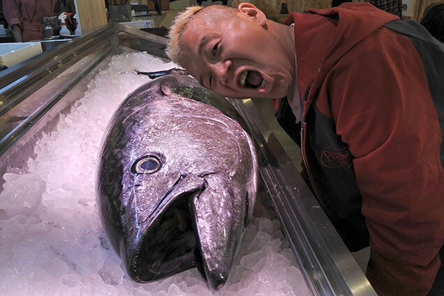 国産生マグロだぞ〜！ウドさんよりもでかい！