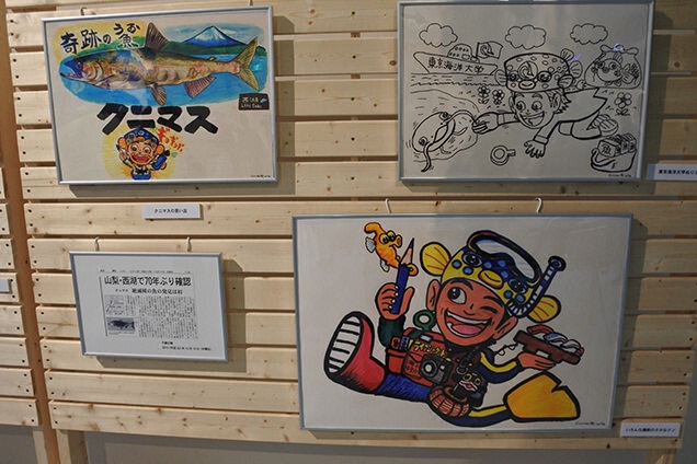 さかなクンの画や漁グッズが展示されてます