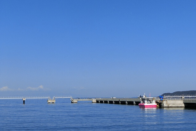 そして真っ青な海に繰り出します！
