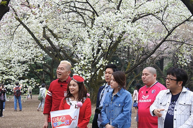 満開の桜に囲まれてのロケでした！