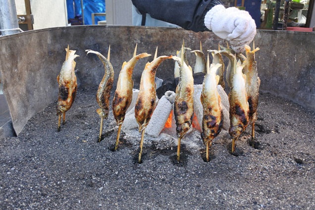 屋台で見つけた鮎の塩焼！大自然の香りがたまらな〜い！