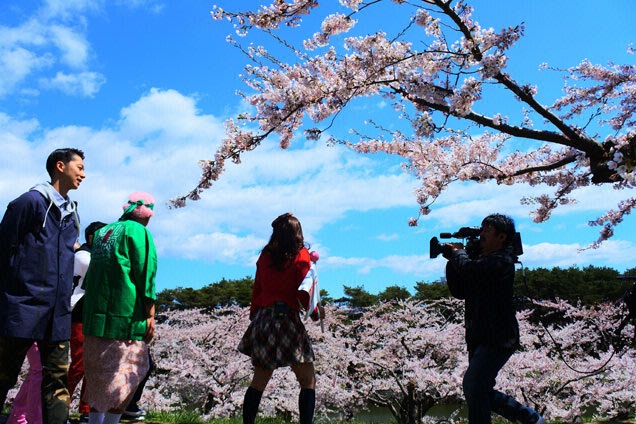 青空にピンクの桜!ここでしか見れない絶景です!