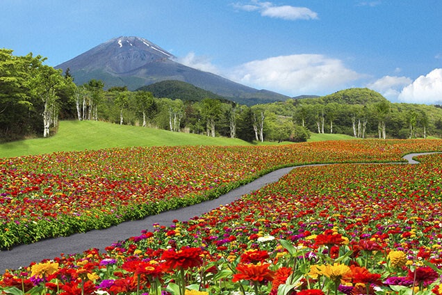 標高1450m！ 富士山に一番近い花畑♪