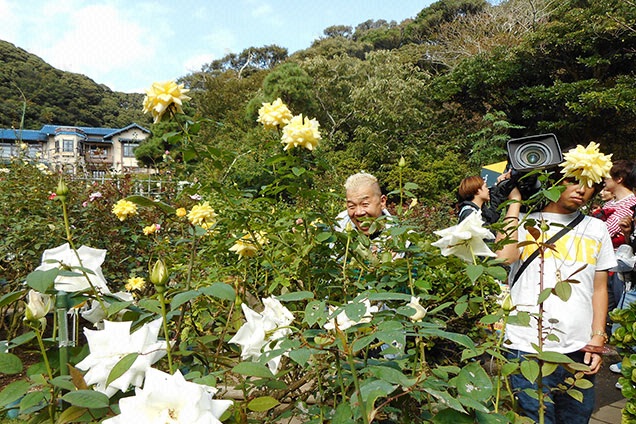 綺麗なバラと洋館とウド♥︎さん