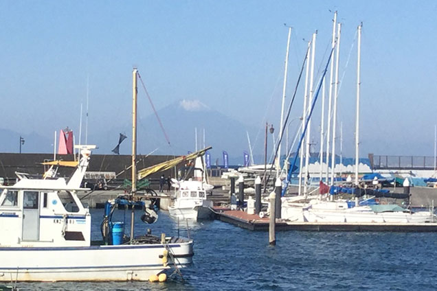 今回は三浦半島の朝市をはしごしました！