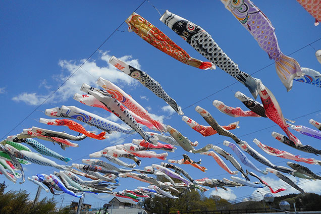 大空で泳ぐ鯉のぼり！