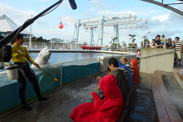 八景島シーパラダイスでは、パララちゃんのお口から大量放水!!