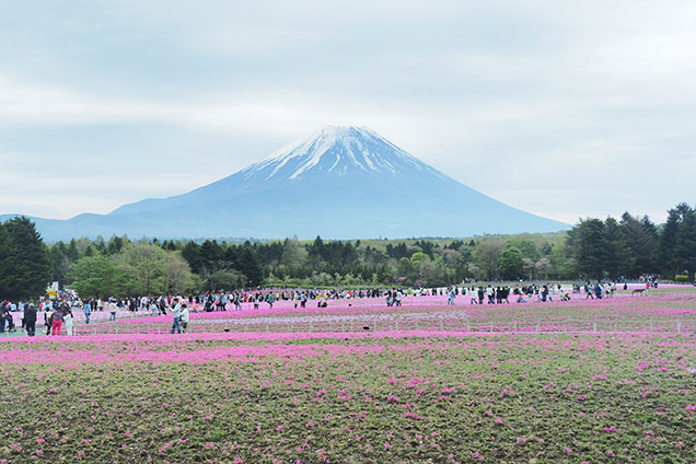 川村さんは写真を撮るのが大好きで、沢山撮りまくります！