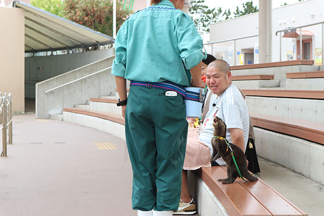 カワウソちゃんの可愛さに癒されて