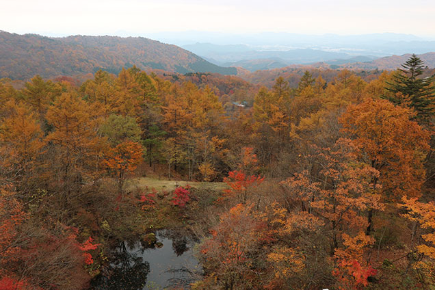 こ〜んな絶景です！日光の紅葉、見頃はあと少し！オススメです！