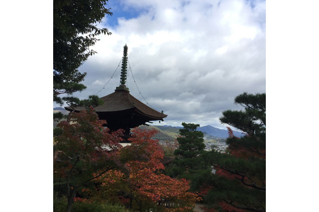 京都ならではの景色！風情がありますね！