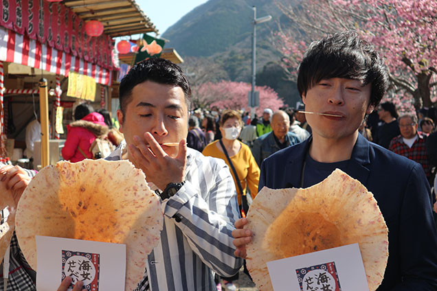 今回は前回ご紹介しきれなかった伊豆ツアー後半戦！