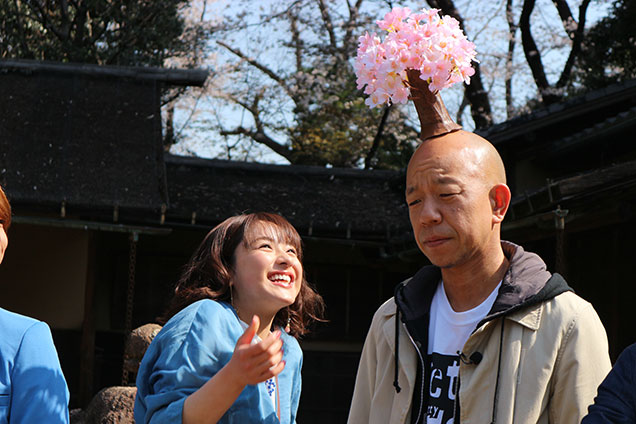 今回は都内の桜を楽しむツアー！早速満開の桜が！