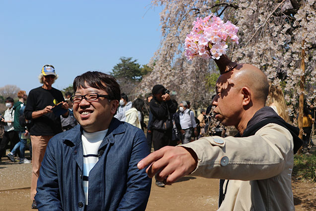 ３チームに分かれて都内の桜の名所を巡りました！