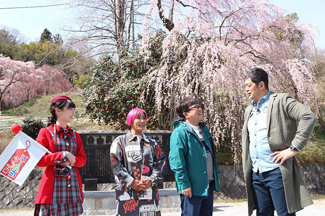 今回は三春町の桜を愛でながら、日本三大桜の三春滝桜を目指します！