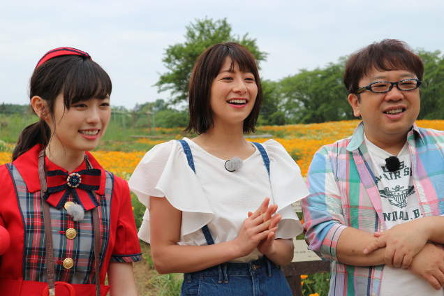 空から見るポピーはまた一段と綺麗です