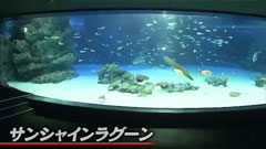 もしもツアーズ 05 02 フジテレビ