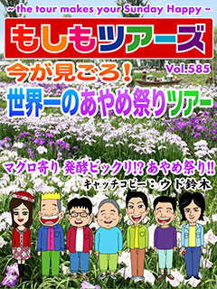 今が見ごろ！世界一のあやめ祭りツアー