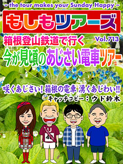 箱根登山鉄道で行く 今が見頃のあじさい電車ツアー