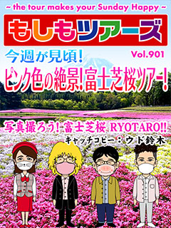 今週が見頃！ピンク色の絶景！富士芝桜ツアー！